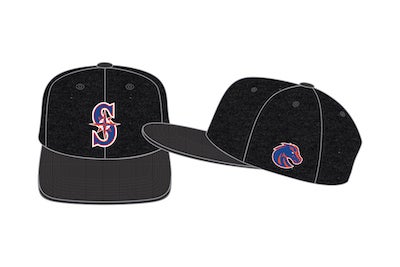 Rendering of a promotional baseball hat