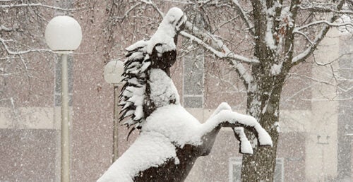 Bronze bronco statue covered in snow.