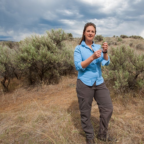 Forbey wins research excellence award for contributions to Idaho science