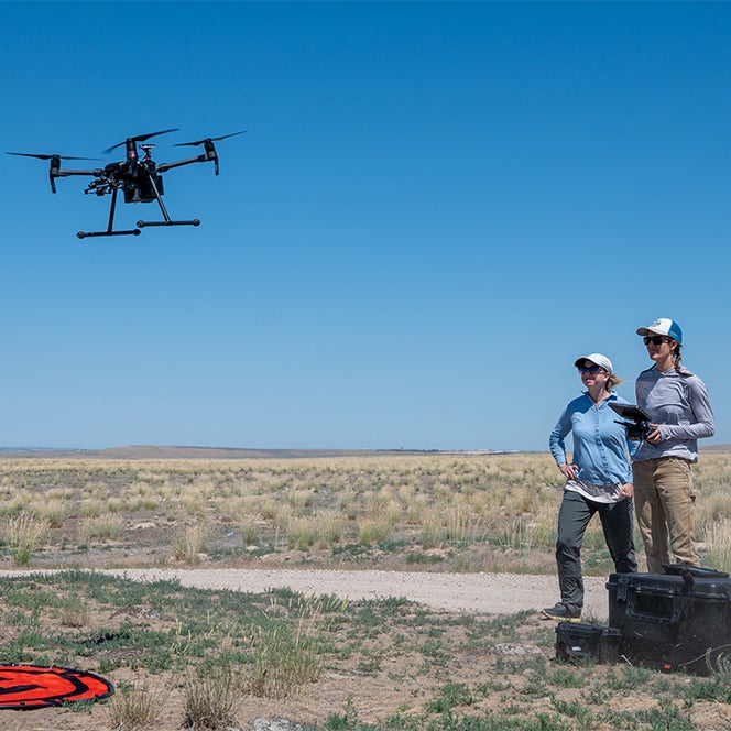 researchers in the field operating a drone