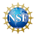 NSF Official logo, Earth with the letters NSF