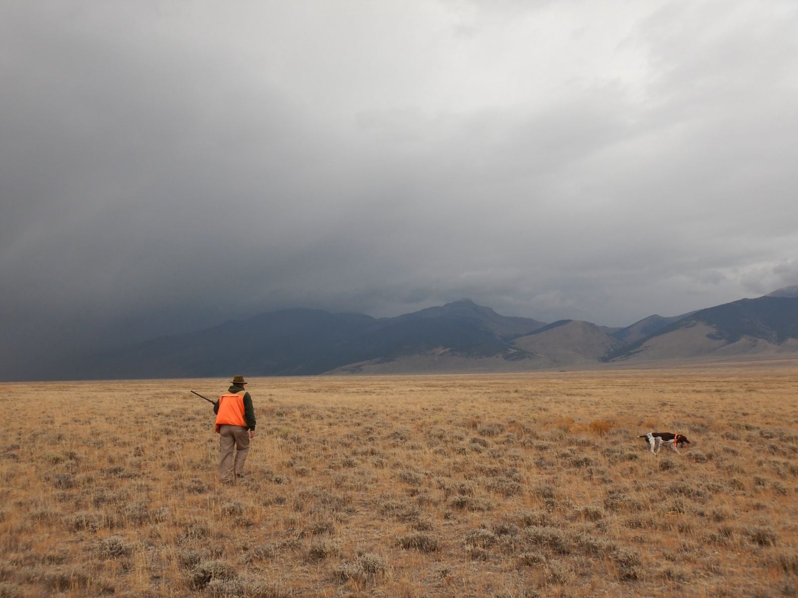 A hunter and a dog in an open field