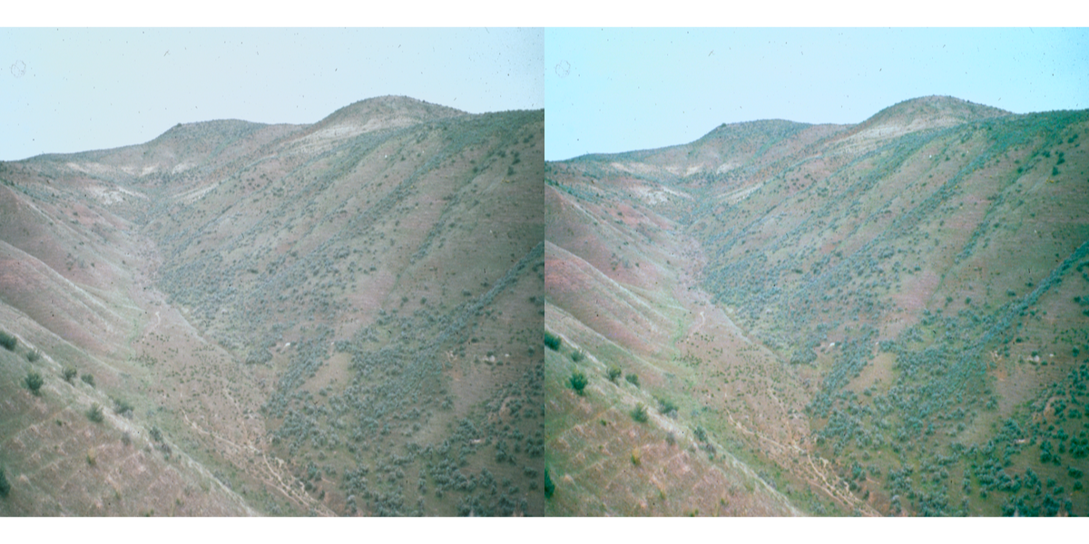 Side by side pictures of a hillside