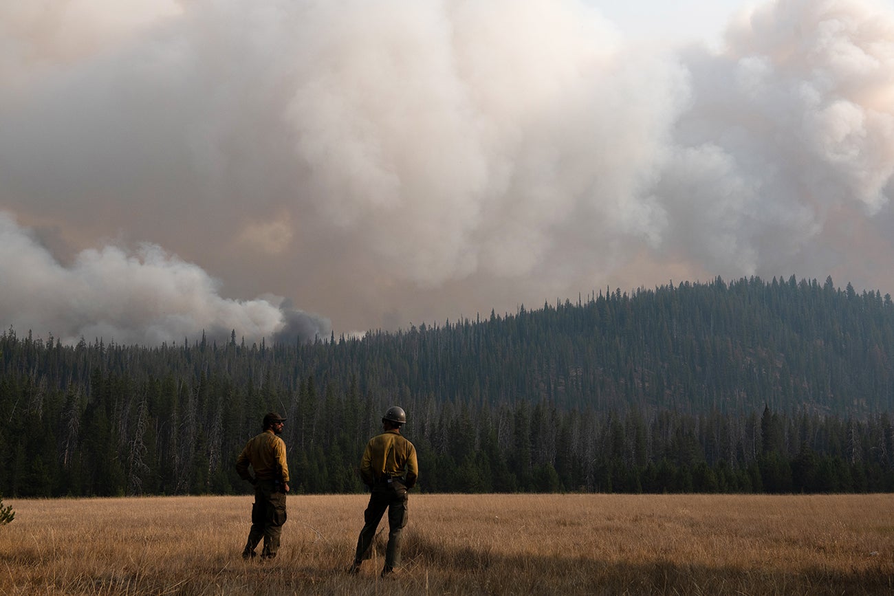 Two wildland firefighters watching smoke above forest on mountain. 