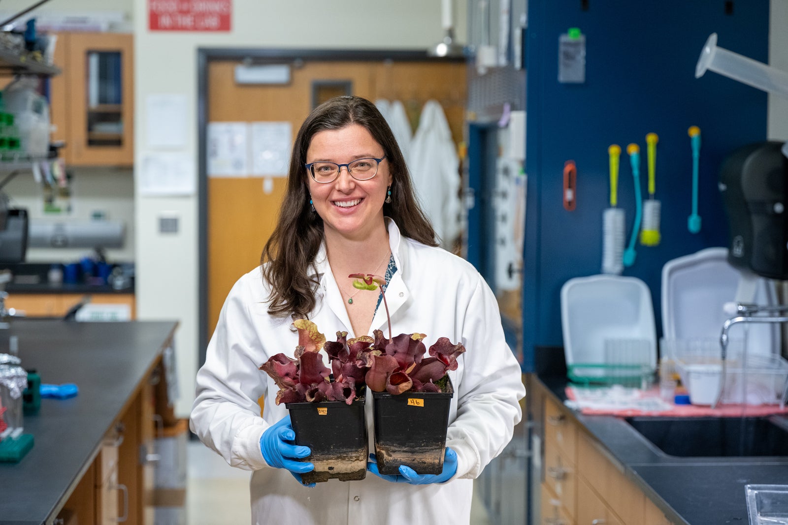 A person in a lab holds plants