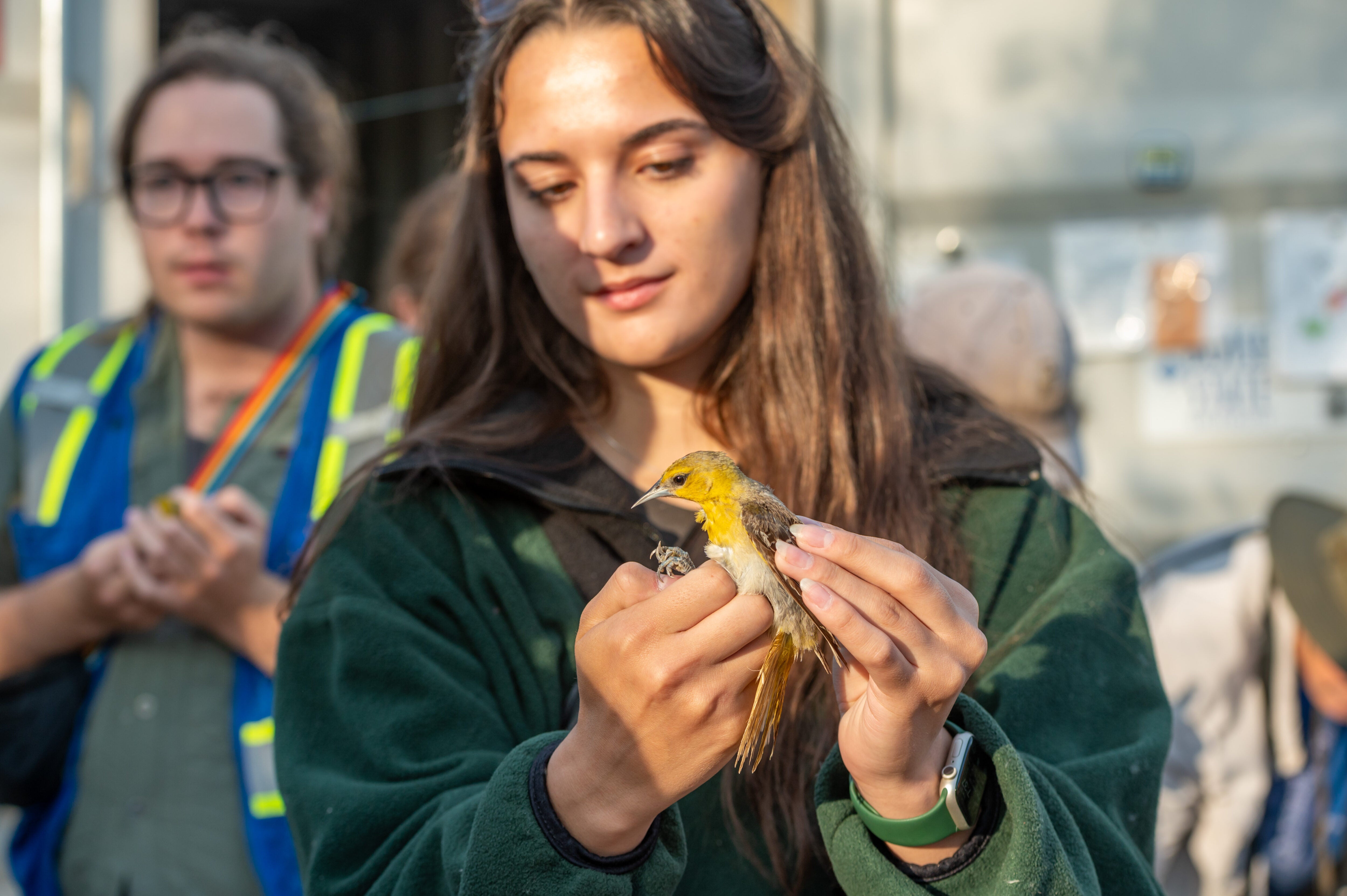 Students holding birds captured for bird banding in 2025.