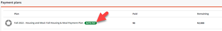 Auto pay button screenshot
