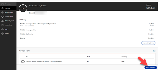 make a payment webpage screenshot