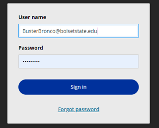 myboisestate payer login screenshot