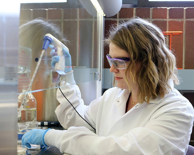 cornell lab madison