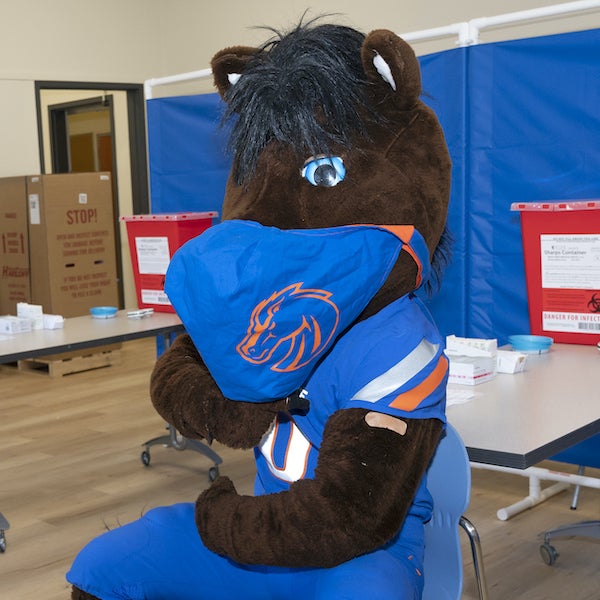 Buster Bronco with a mask and bandage