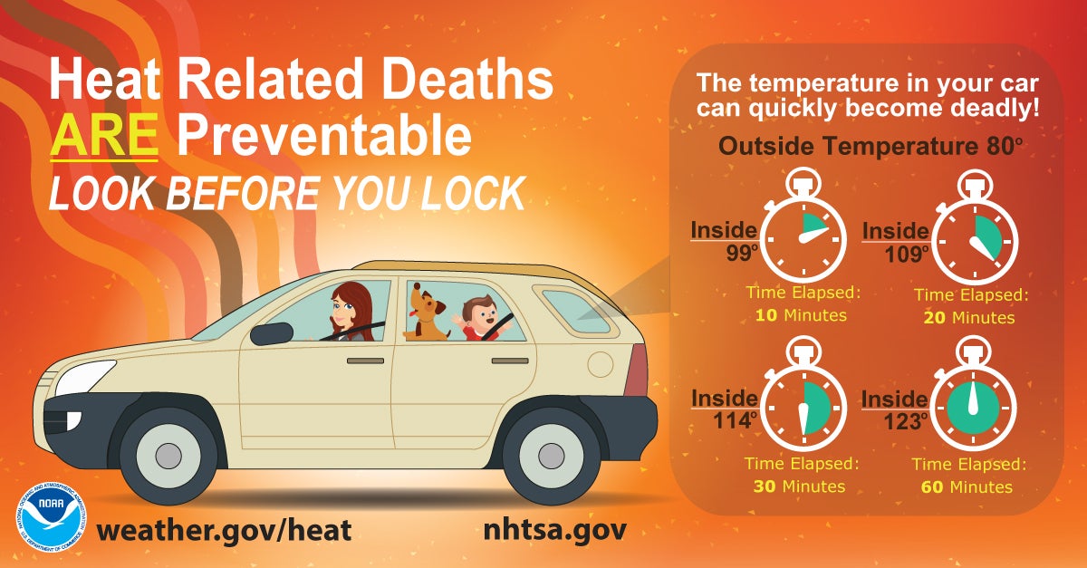 This is a poster promoting how heat related deaths are preventable and encourage drivers not to leave children or pets in their cars on hot days.