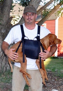 Dehart holding dog in harness