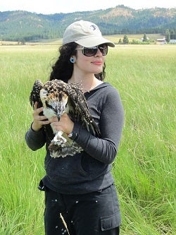 Student holding an osprey for banding