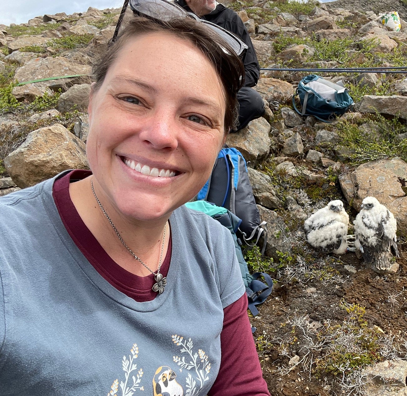 Stephanie Galla with Gyrfalcon nestlings on a rocky slope