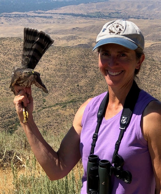Alumna Robin Garwood holding a sharp-shinned hawk on a hillside
