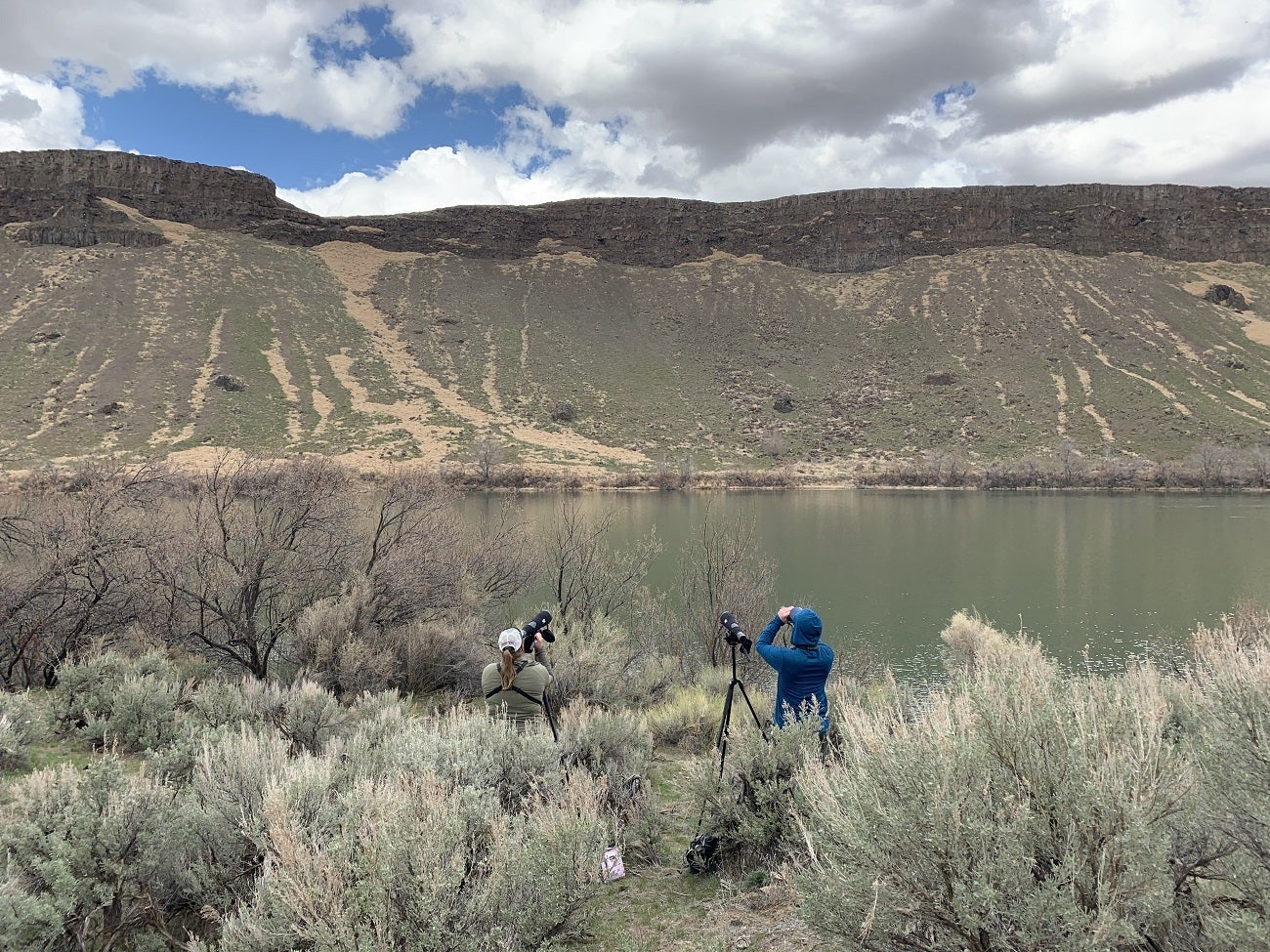 Raptor biologists monitoring Prairie Falcon territory by the Snake River