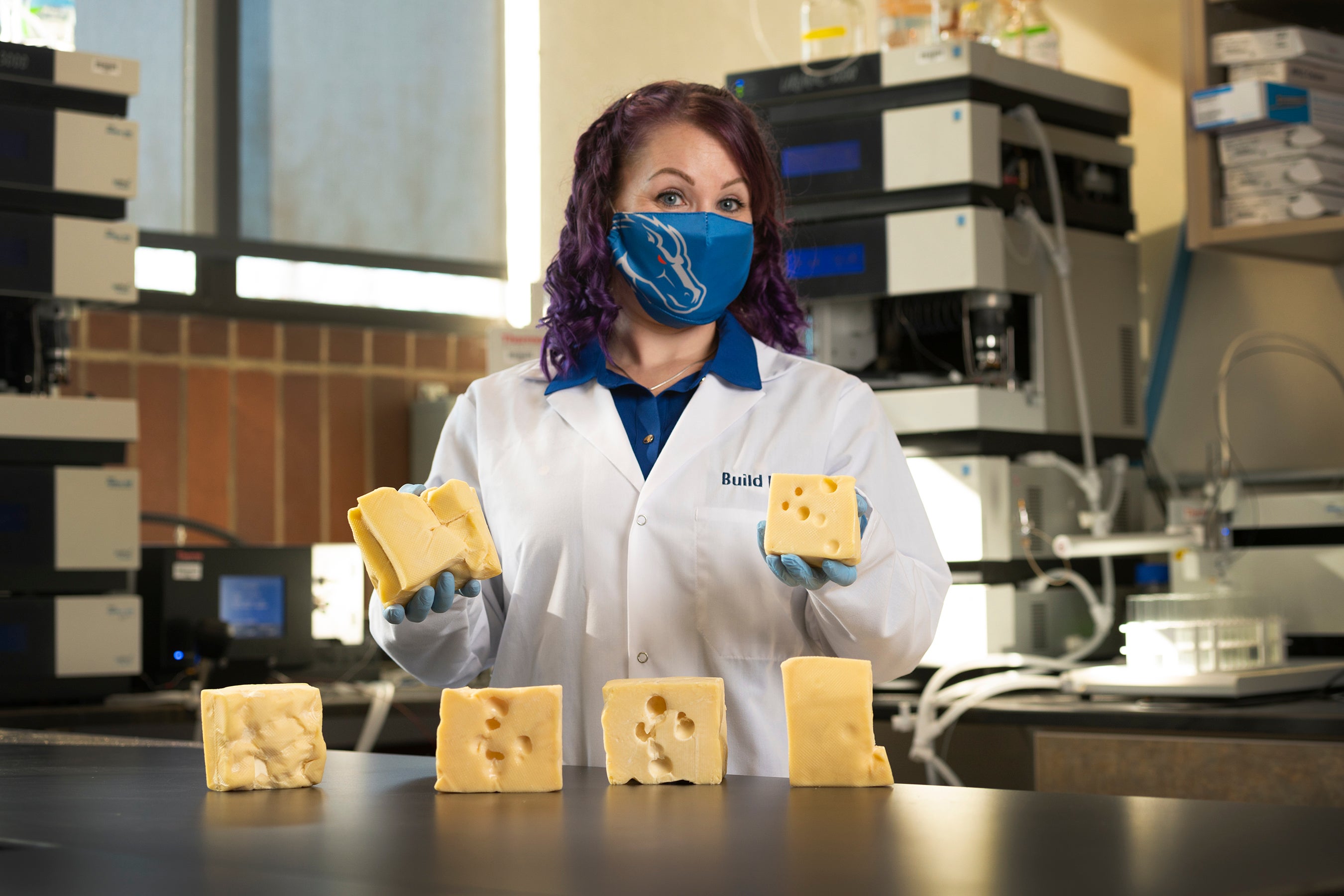 researcher compares different types of swiss cheese