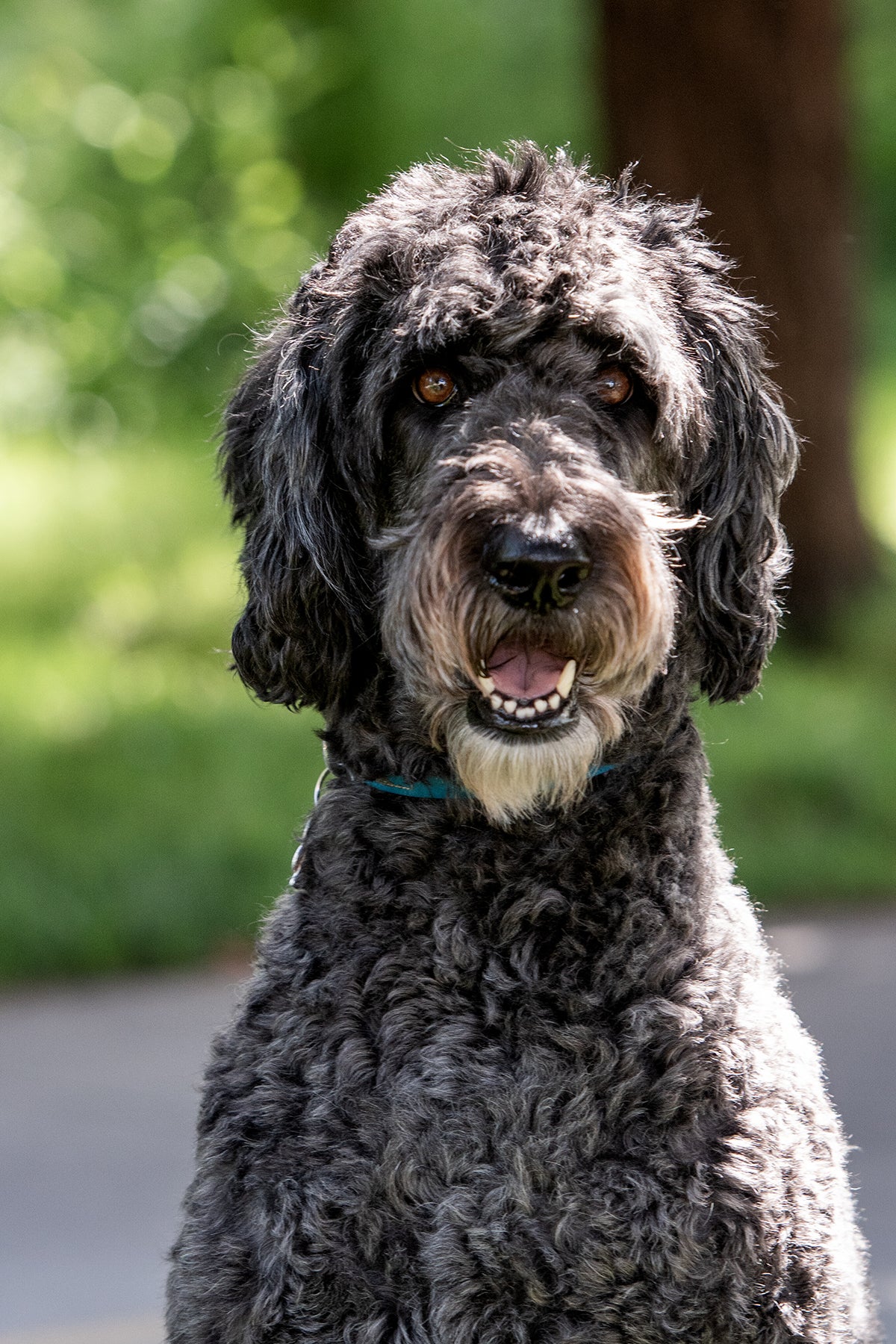 Murphy headshot