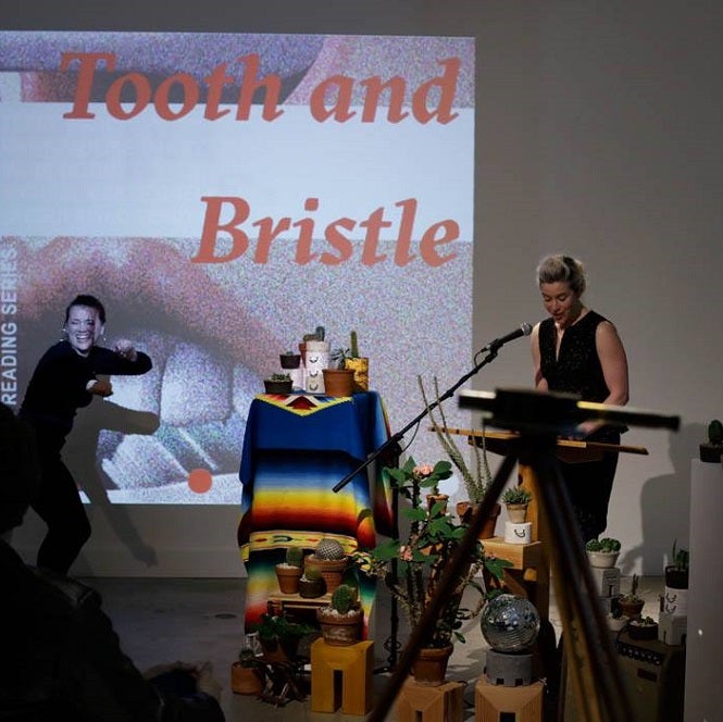 Jackie Polzin reads at Tooth and Bristle in 2018