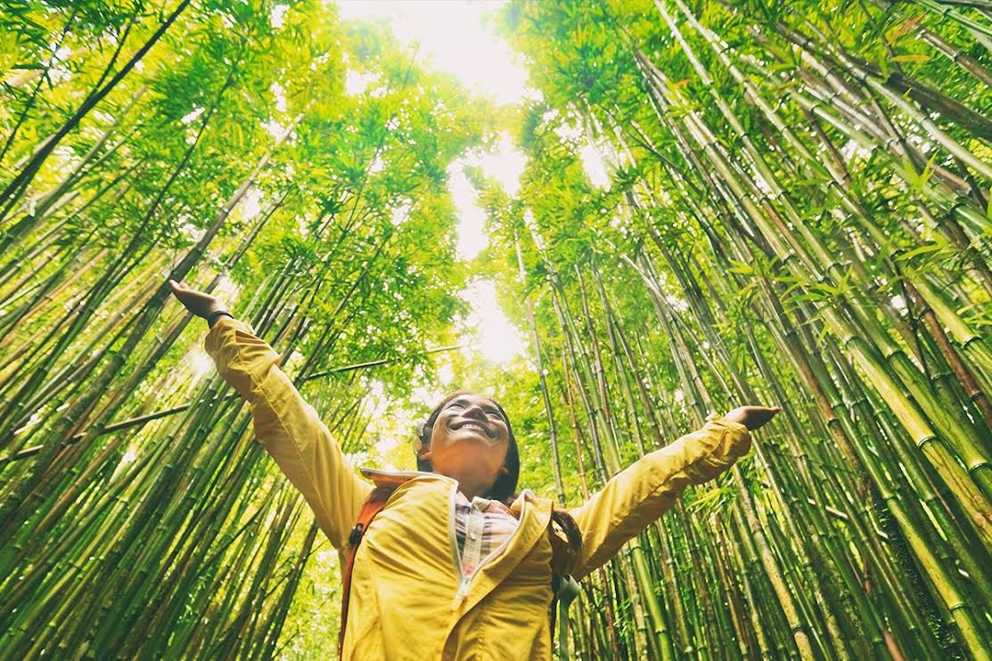 Person standing in a grove of bamboo, their arms are held up in to the sky