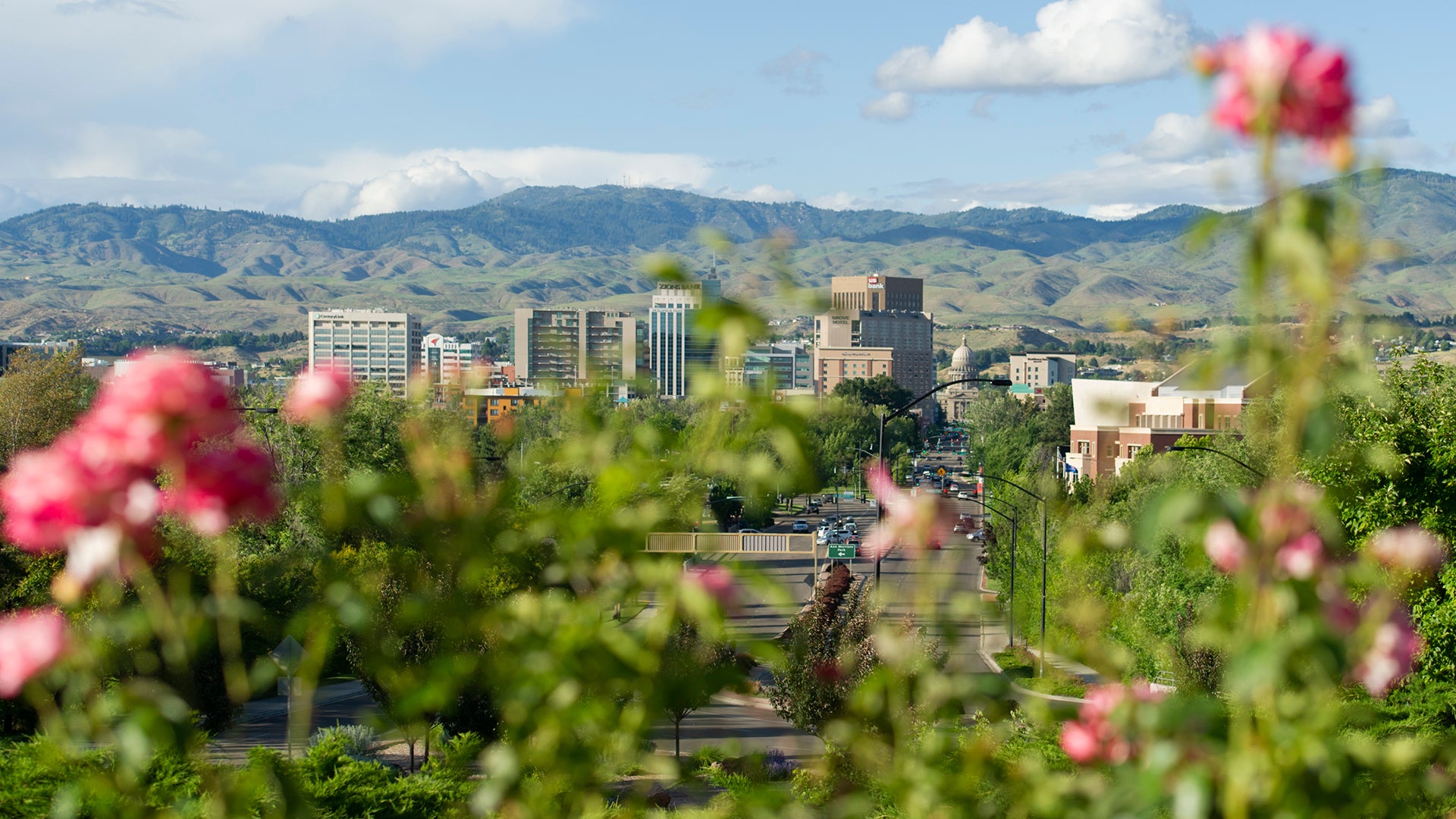 Cityscape, from the depot, foothills, downtown, campus, summer, flowers, photo Patrick Sweeney