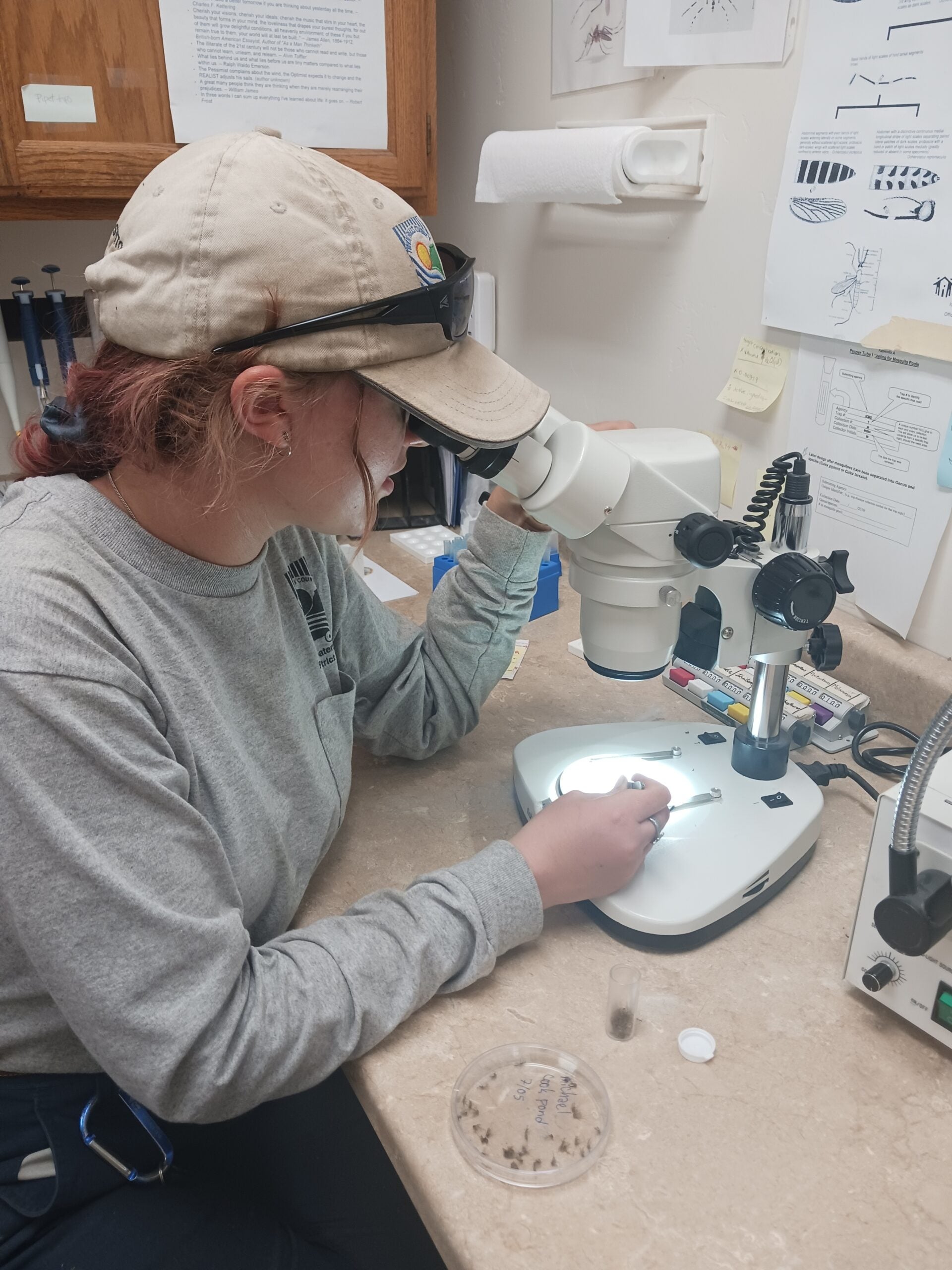 Tubbs looking down a microscope in a lab setting.