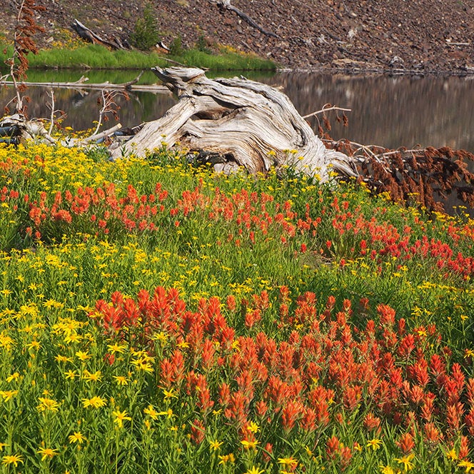 Thunder lake landscape