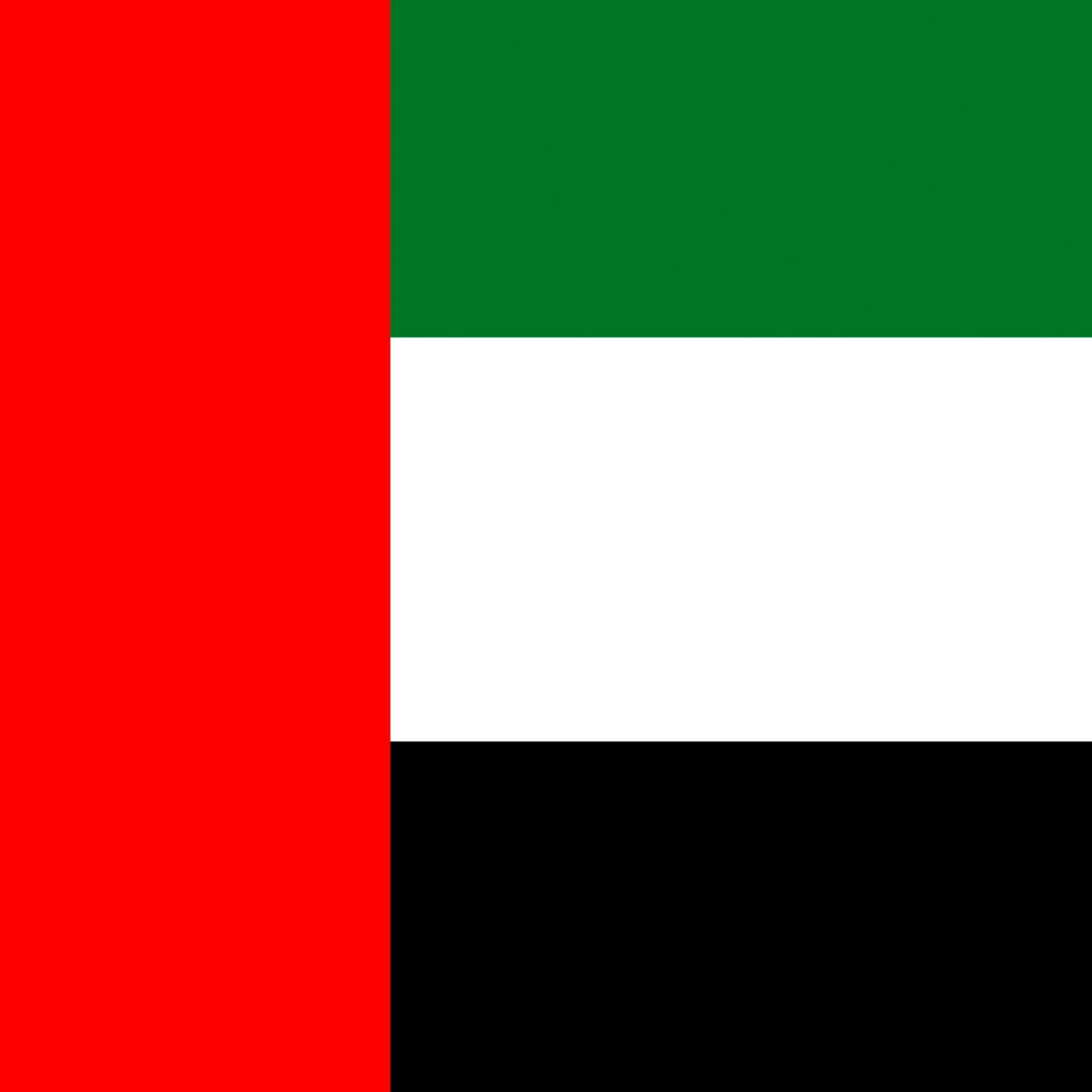 u.a.e. flag