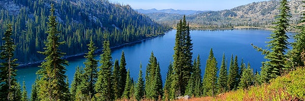 image of lake and trees