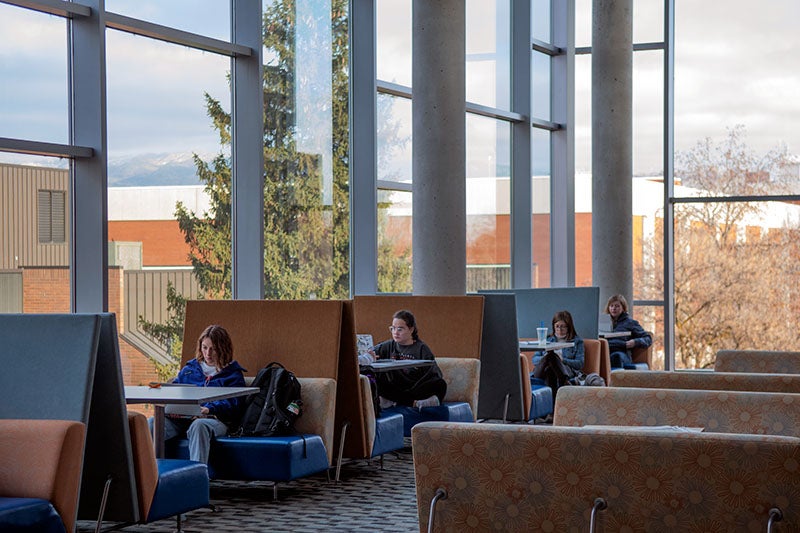 Students studying in front of large windows in the Interactive Learning Center