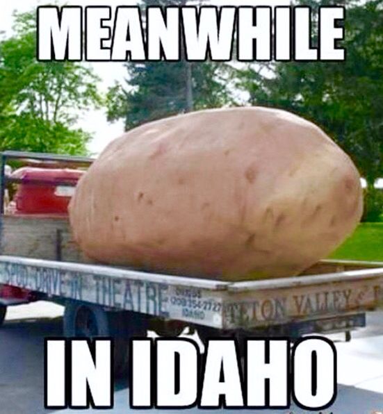 Meme of a giant potato on the back of a truck that says "Meanwhile in Idaho".