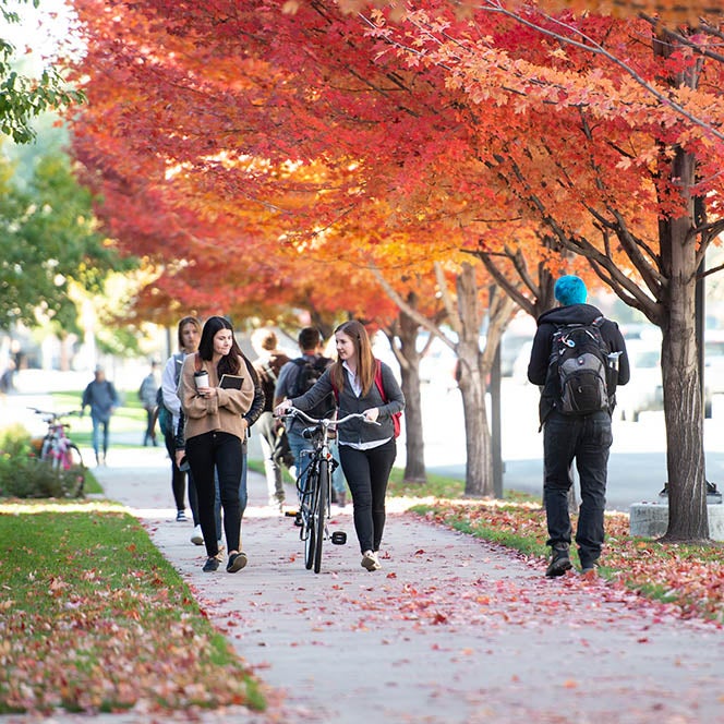 Two students walking through the Boise State campus talking and walking a bicycle with fall trees surrounding them
