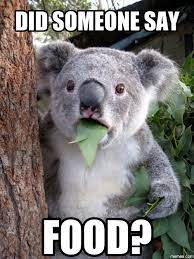 Koala with leaves hanging from mouth accompanied by text reading "did someone say food?"