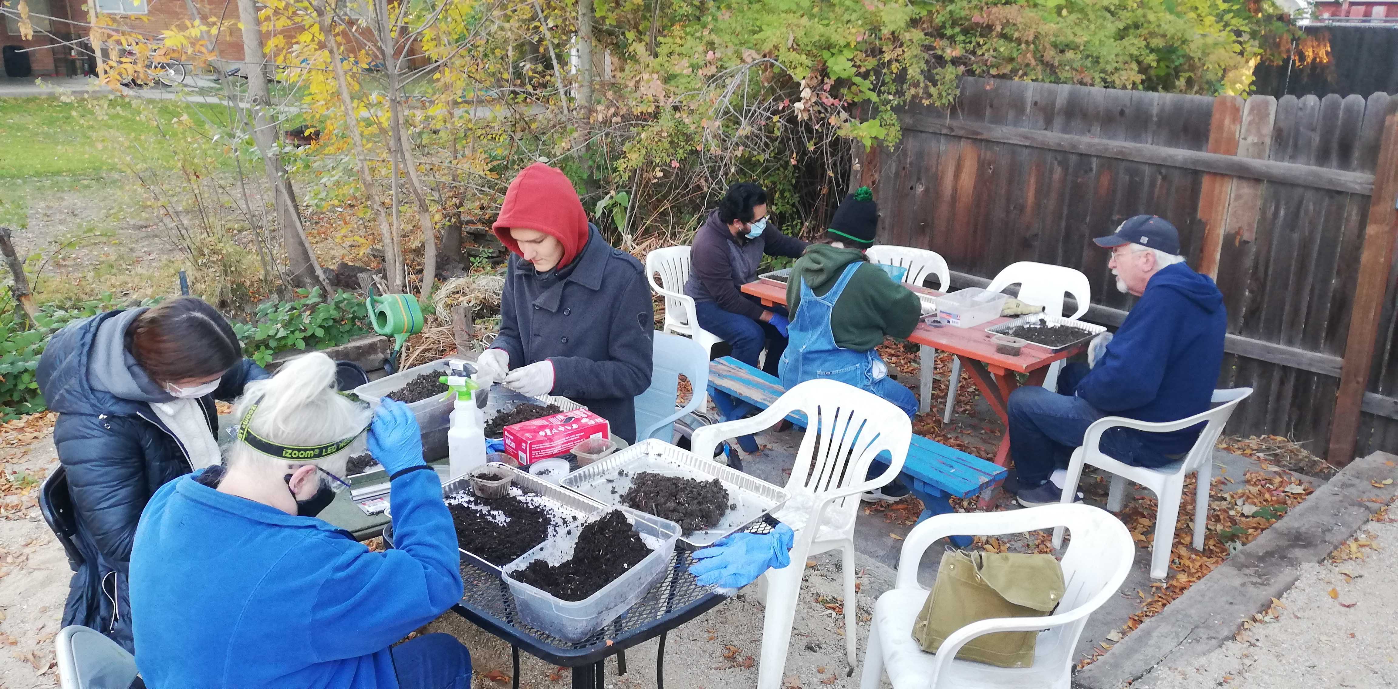 Students studying soil