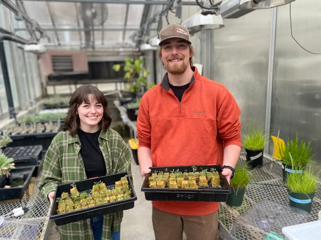 Two students hold seedlings in a greenhouse