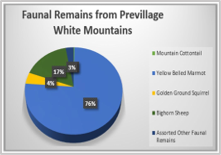 76% yellow bellied marmot, 4% golden ground squirrel, 17% bighorn sheep, 3% asst other faunal remains