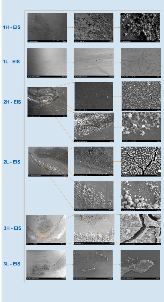 micrographs of samples.