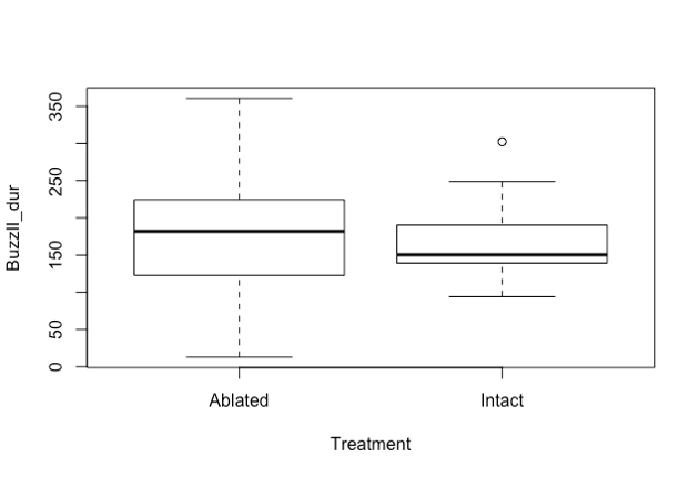 Boxplot, buzzll_dur for ablated and intact treatment