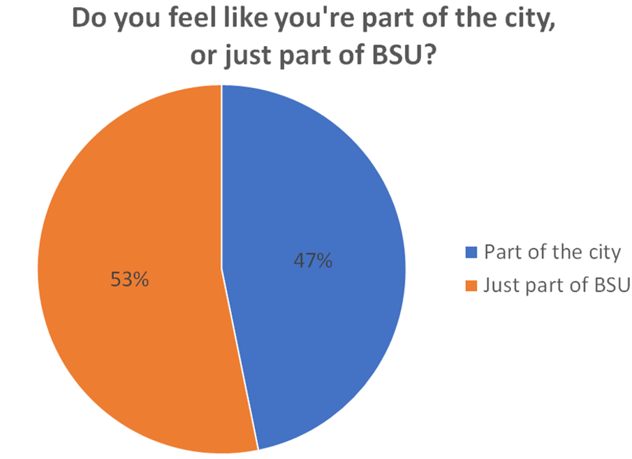Pie chart - 53% part of BSU, 47% part of city