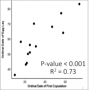 scatter plot graph of original date of egg lay against original date of first copulation