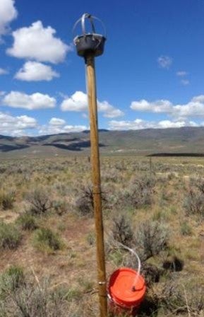 trap connected to long pole secured in the ground, photo