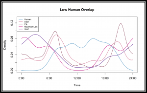 Chart of human, deer, elk, mountain lion and wolf with less frequent overlaps between 6:00 and 18:00 hours