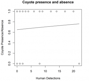Graph of coyote presence and absence in relation to human detections