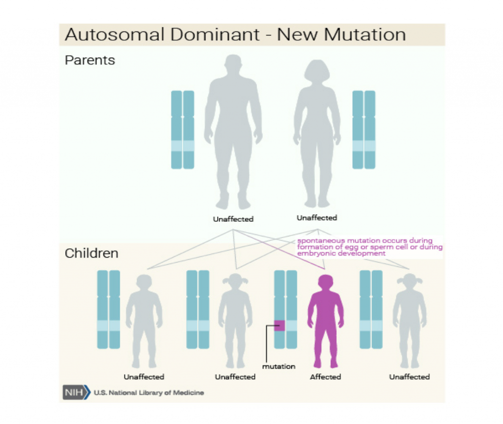 Autosomal Dominant - New Mutation. Spontaneous mutation occurs during formation of eff or sperm cell or during embryonic development and can affect one in four of the children