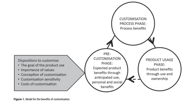 Customisation phase process cycle