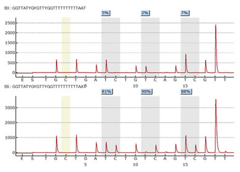 Gene sequence of B3 and B5