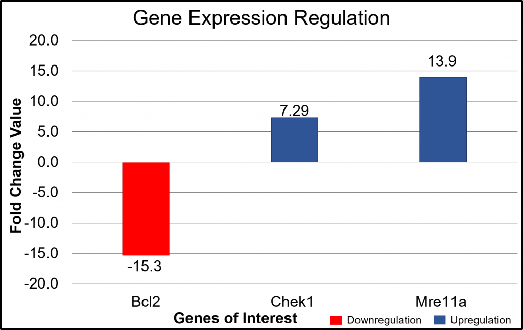 Gene expression regulation graph: Bcl2 -15.3, Chek1 -7.29, Mre11a, 13.9