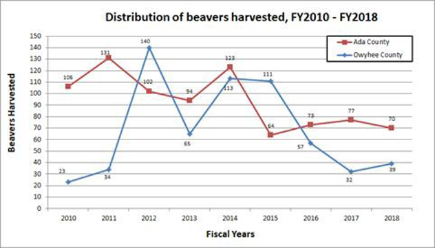 Beavers harvested in Ada County between 2010-2018: 106, 131, 100, 94, 122, 64, 72, 77, 70. Beavers harvested in Owyhee county between 2010 -2018: 23, 34, 140, 65, 113, 111, 57, 32, 19