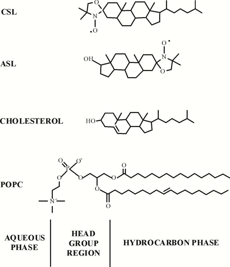 Chemical structures, drawings